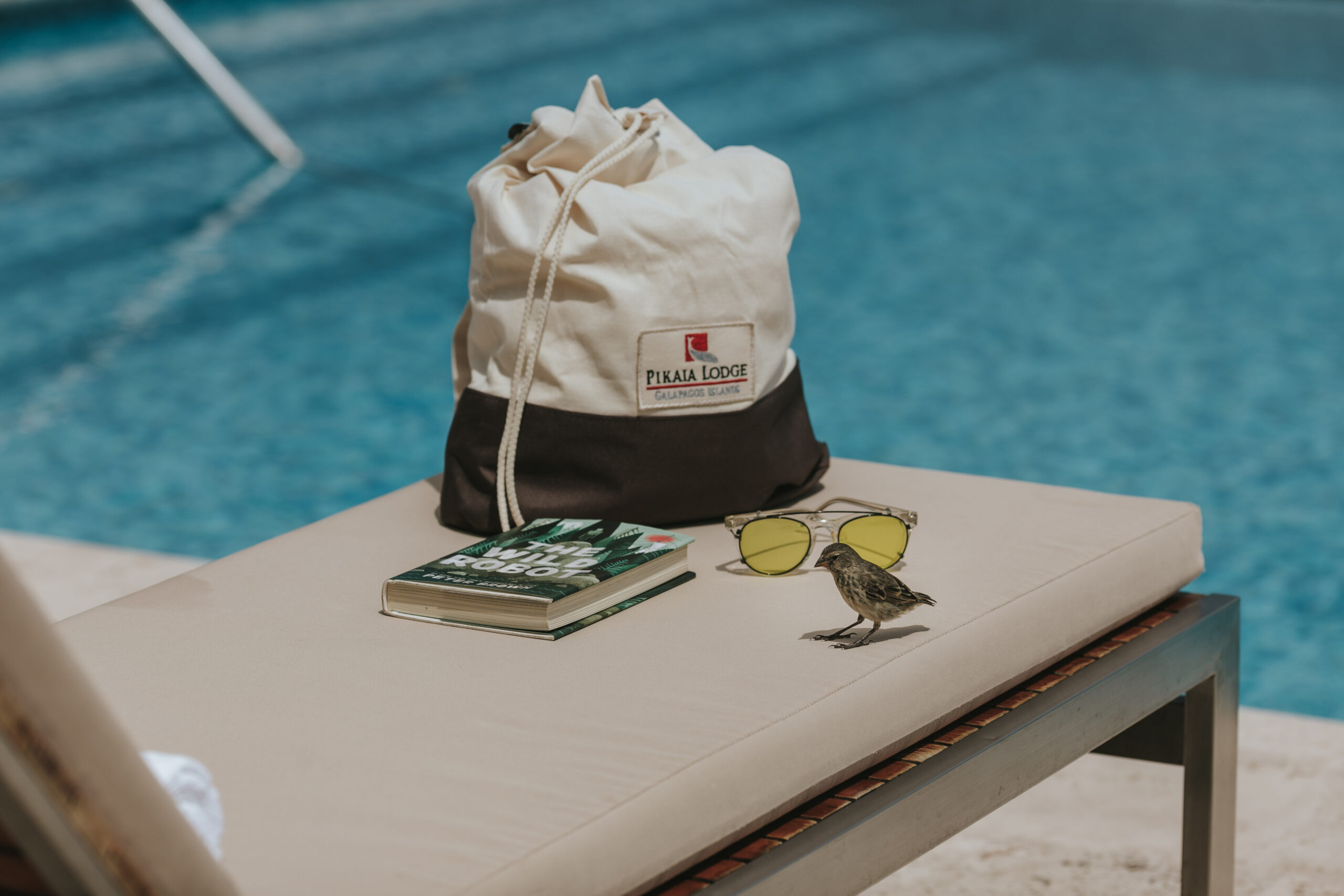 Galapagos Luxury Cruises / adventure with Columbus Travel / luxury Galapagos cruises: exclusive yachts, catamarans, and cruise ships / Galapagos Islands / coast of Ecuador / luxurious accommodations / luxury packages / private yacht charters to eco-friendly catamaran cruises, Columbus Travel / Your Galapagos adventure begins here.