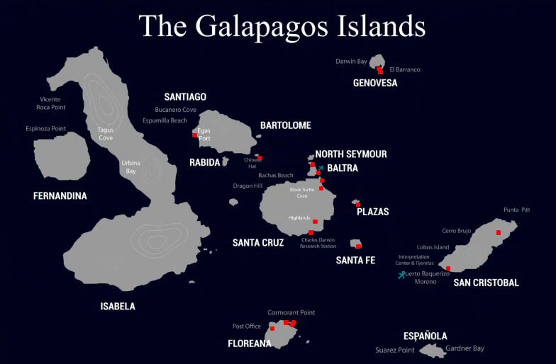 Galapagos Luxury Cruises / adventure with Columbus Travel / luxury Galapagos cruises: exclusive yachts, catamarans, and cruise ships / Galapagos Islands / coast of Ecuador / luxurious accommodations / luxury packages / private yacht charters to eco-friendly catamaran cruises, Columbus Travel / Your Galapagos adventure begins here.