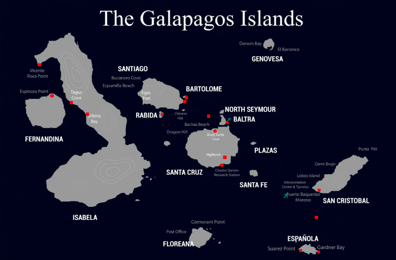 Galapagos Luxury Cruises / adventure with Columbus Travel / luxury Galapagos cruises: exclusive yachts, catamarans, and cruise ships / Galapagos Islands / coast of Ecuador / luxurious accommodations / luxury packages / private yacht charters to eco-friendly catamaran cruises, Columbus Travel / Your Galapagos adventure begins here.