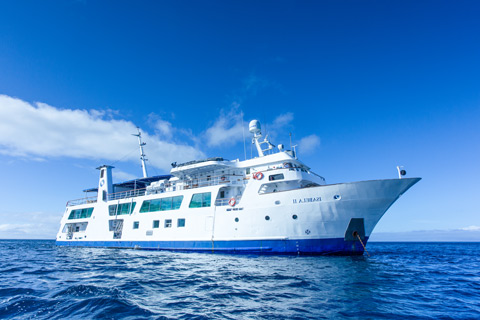 Galapagos Luxury Cruises / adventure with Columbus Travel / luxury Galapagos cruises: exclusive yachts, catamarans, and cruise ships / Galapagos Islands / coast of Ecuador / luxurious accommodations / luxury packages / private yacht charters to eco-friendly catamaran cruises, Columbus Travel / Your Galapagos adventure begins here.