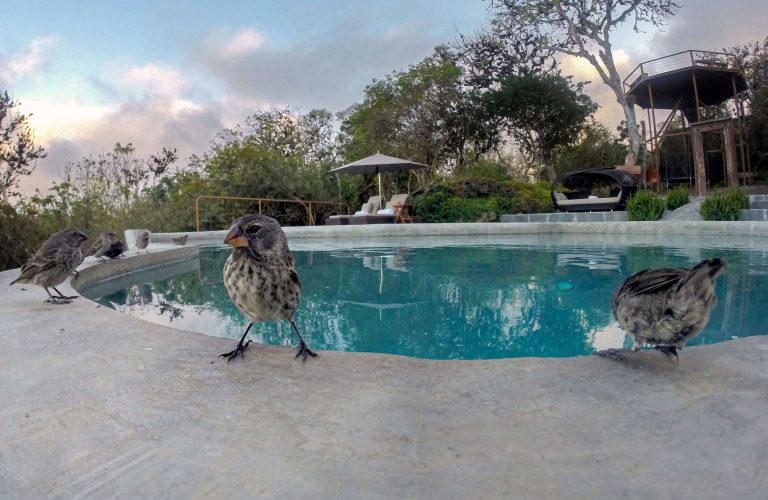 DCIM157GOPRO